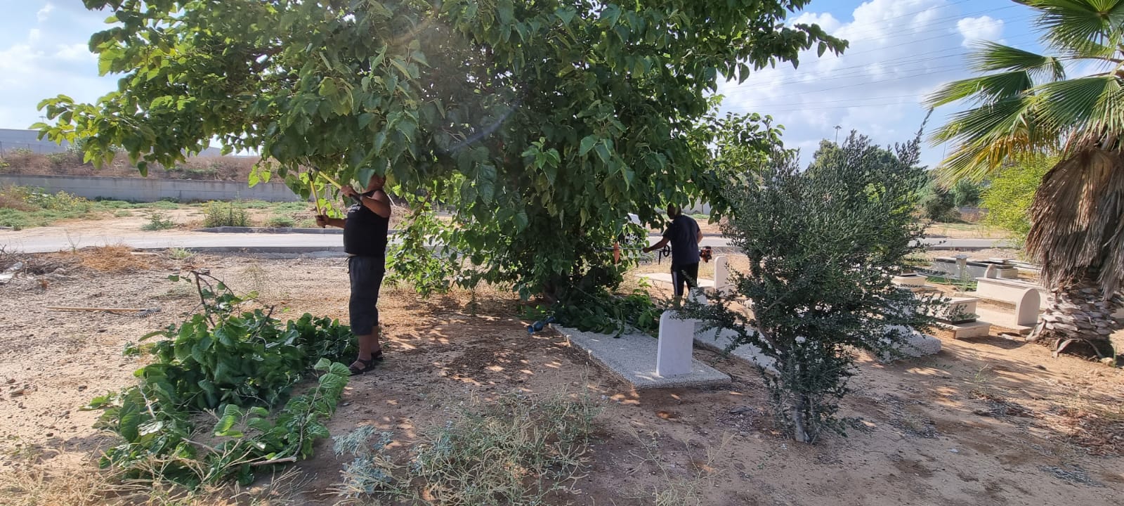 WhatsApp Image 2021-07-06 at 9.37.33 AM.jpeg